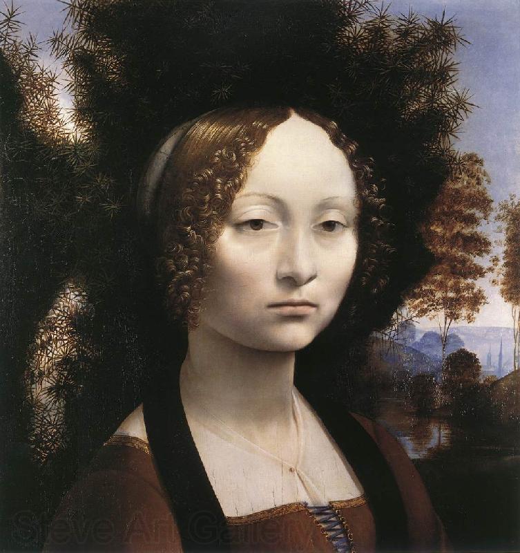 LEONARDO da Vinci Madonna and Child with a Pomegranate et Spain oil painting art
